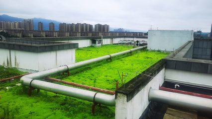 屋顶绿化工程中会遇到哪些问题?
